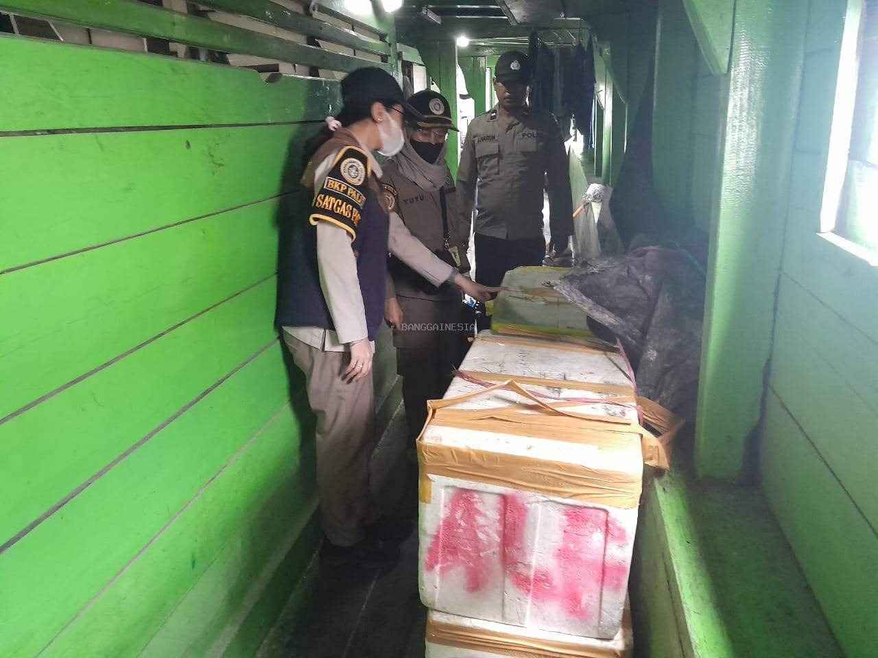 Lagi, Subsektor KP3 Luwuk Bersama Karantina Pertanian Amankan Daging Sapi Tanpa Dokumen