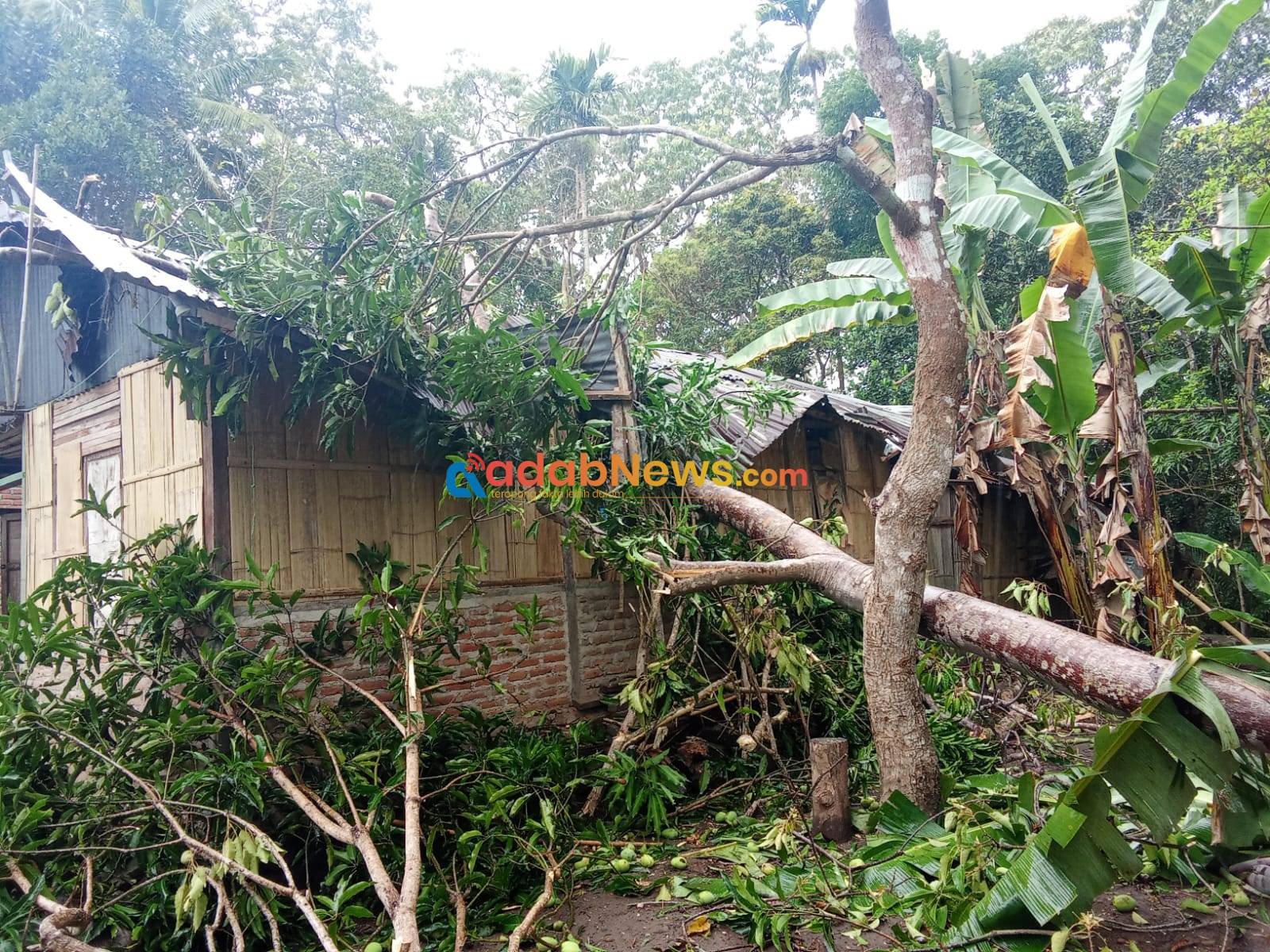 Angin Kencang di Lamadale, Rumah Warga Rusak Berat Tertimpa Pohon