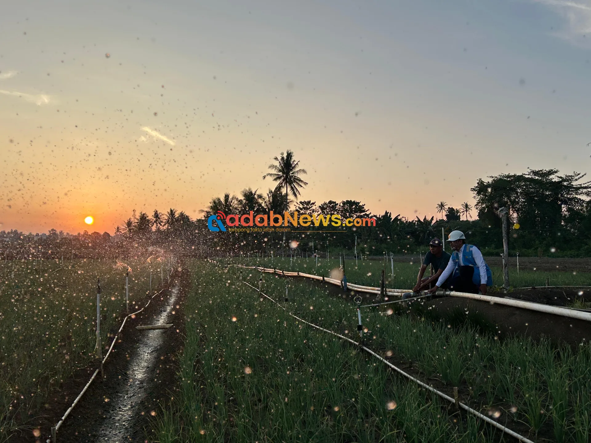 Tarif Listrik Triwulan III 2026 Tetap, PLN Siap Jalankan Kebijakan Pemerintah dan Jaga Kualitas Layanan ke Masyarakat