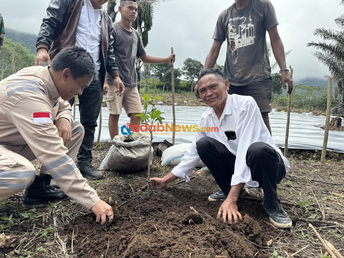PLN UIP Nusra Luncurkan Program Agroforestry Hetero, Dukung Kemandirian Ekonomi Masyarakat Desa Wewo