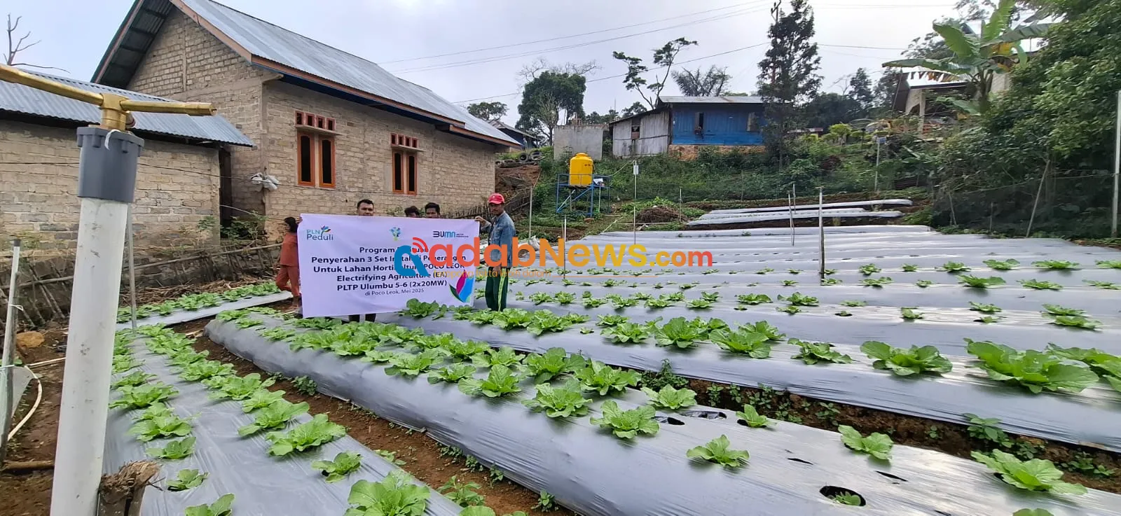 Program Electrifying Agriculture PLN UIP Nusra Tingkatkan Produktivitas dan Pendapatan Petani Desa Lungar