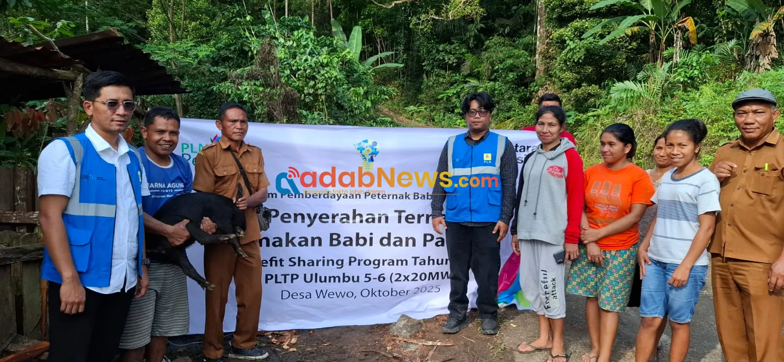 PLN Perkuat Pemberdayaan Ekonomi Berbasis Lokal, Program Ternak di Desa Wewo Sekitar Pengembangan PLTP Ulumbu Berdampak Positif